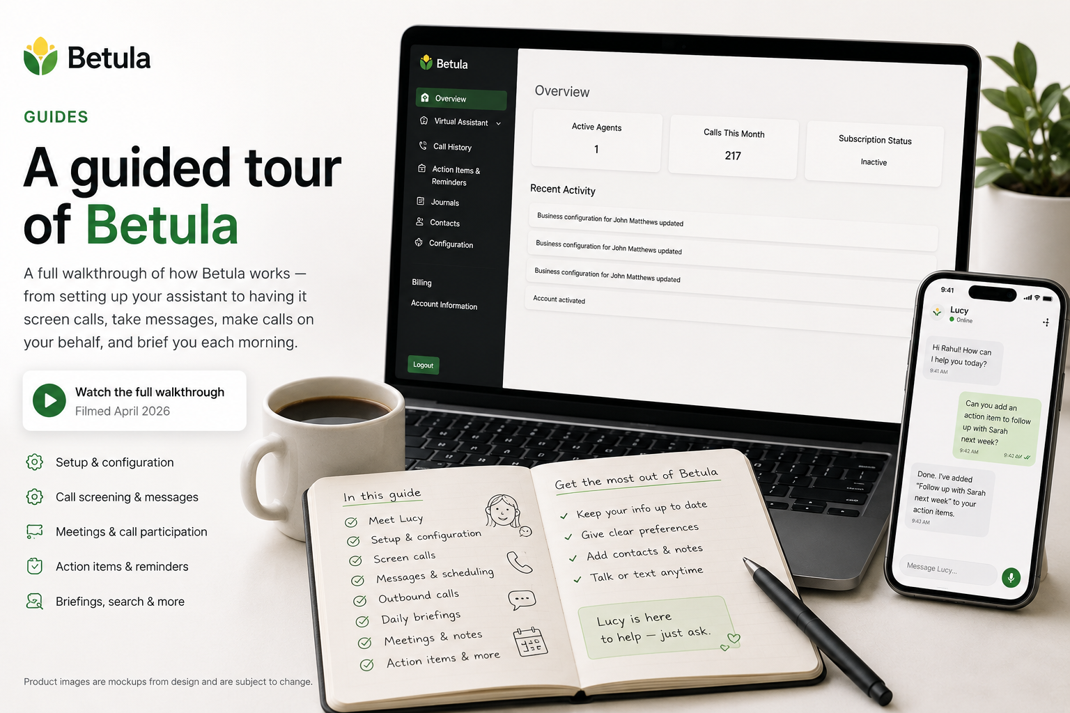 A guided tour of Betula